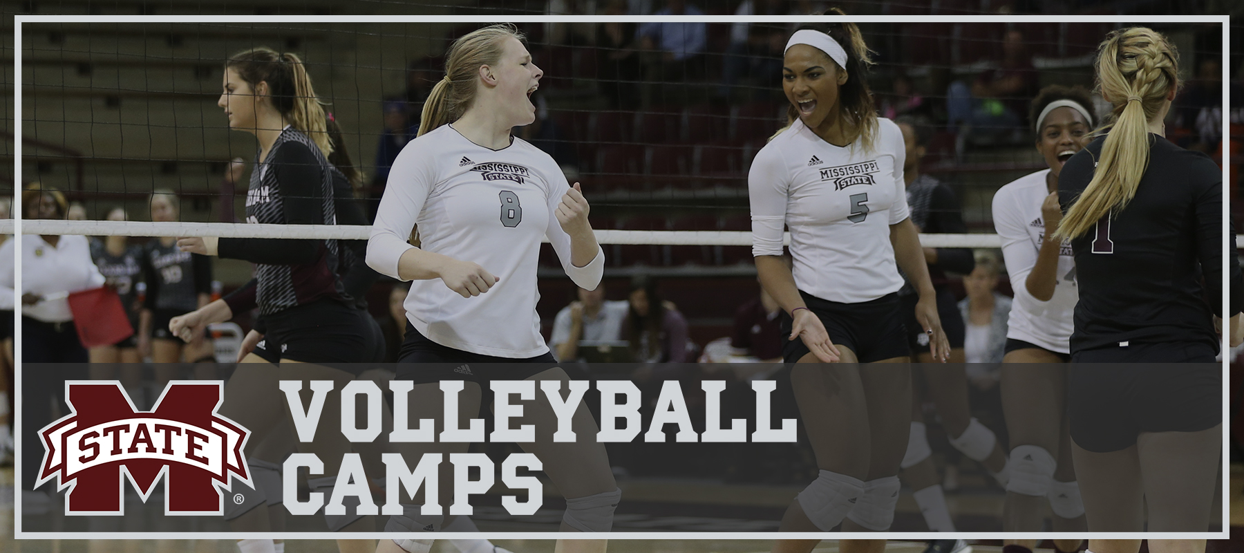 Mississippi State Volleyball Mississippi State University