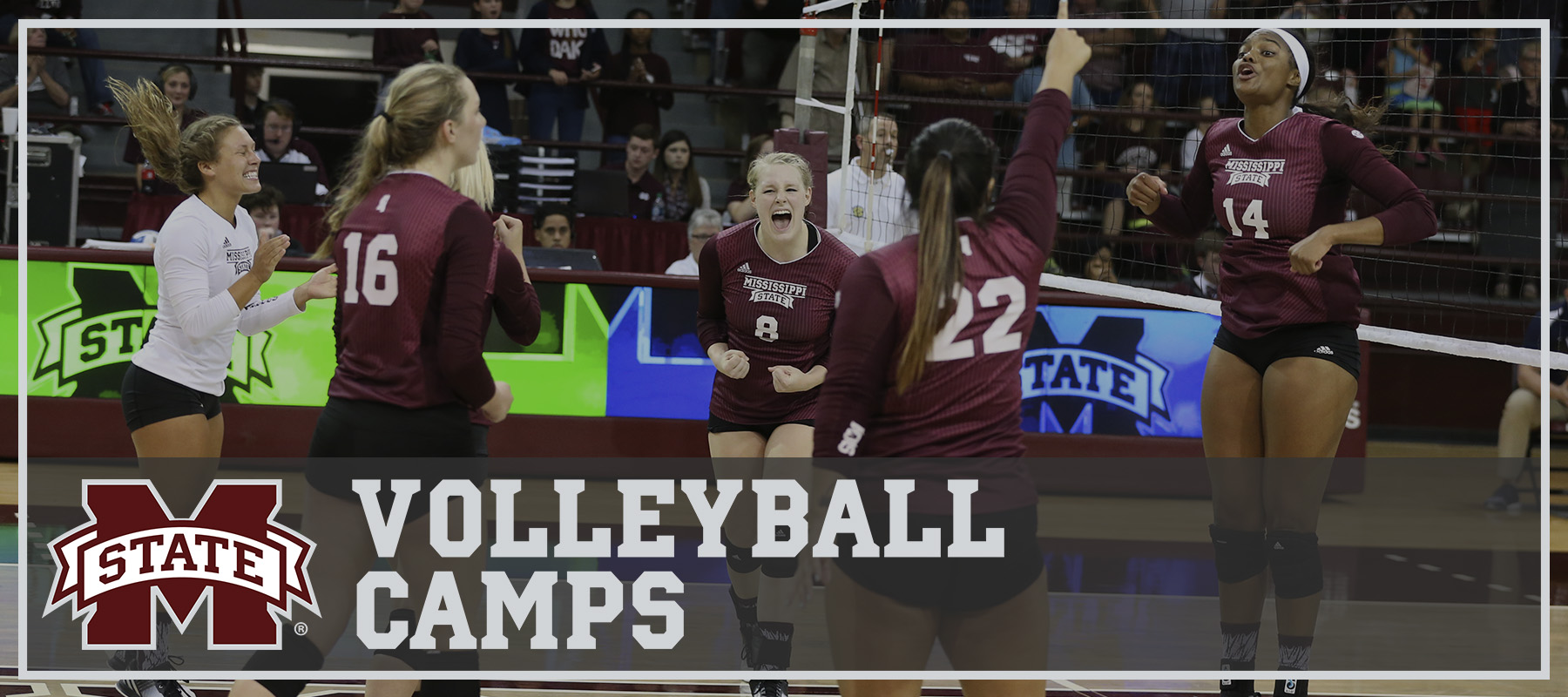 Mississippi State Volleyball Mississippi State University